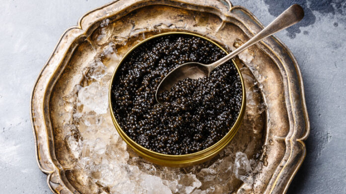 Black Sturgeon caviar on ice