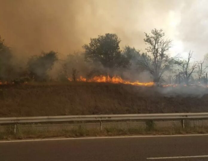 Burgas-Malko-Tyrnovo