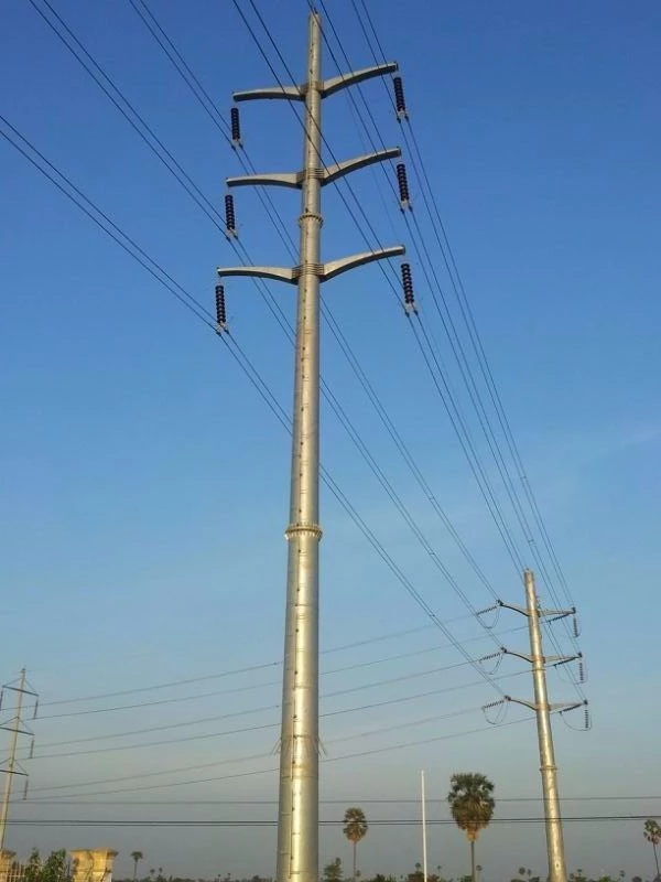 201901110909565661118
